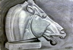 Cabeza de Caballo