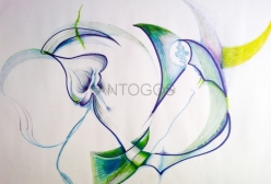 Formas III