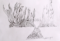 Formas IV